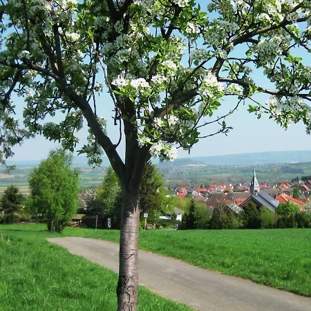 Cozy In Germany By Forest